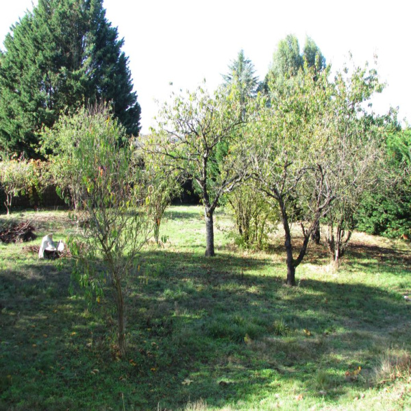 Offres de vente Terrain Montaigu 85600
